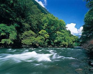 开发商IOI与《杀手》中的联动MMA拳击手终止合作